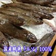 画像3: 【2,000円以上で送料無料】 萩かまぼこ（白）　※12月限定販売 (3)