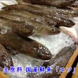 画像7: からだに優しい！練製品詰合せ（萩85g＆揚げ蒲鉾-５）【化粧箱入】 (7)